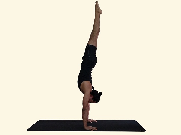 Beautiful Yoga: Adho Mukha Vrksasana Pose Stock Image - Image of ashtanga,  activity: 83518877