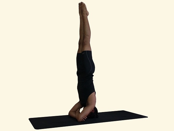 Baddha hasta Sirshasana/ Headstand 4 | Prana Yoga