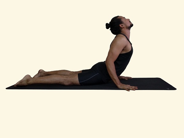 Cobra Pose – Bhujangasana - Arhanta Yoga