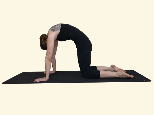 Swadisht Foods - Marjariasana/ Cat Stretch 🙏 To learn this Asana, watch  the entire video on Prana Nutrition & Yoga Center Also their online yoga  classes are starting soon, so go register