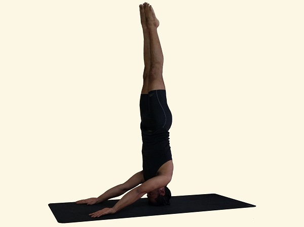 Preparations and pre-requisites for headstand - Yoga Synergy