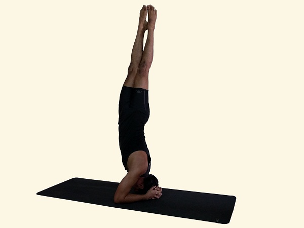 Parsva-sirshasana-twisted-headstand