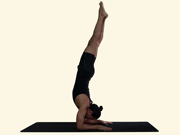 Asana of the Month : Pincha Mayurasana (Forearm Balance) - Salt Spring  Centre of Yoga