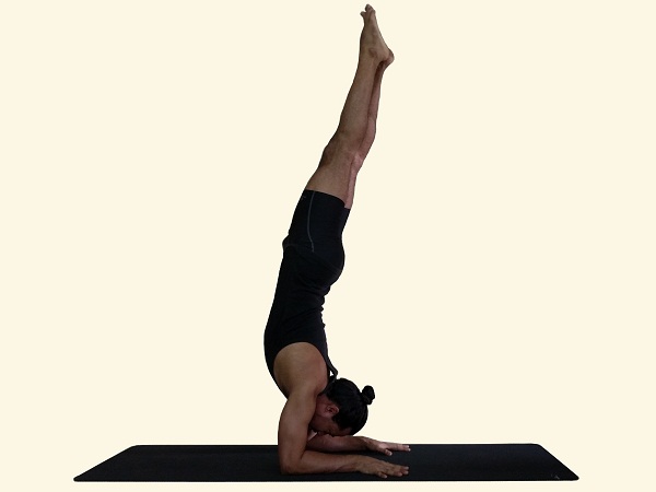 Pincha Mayurasana- Feathered peacock pose- Forearm balance