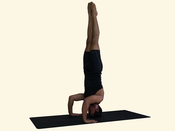 Focused woman doing Tripod Headstand during yoga lesson · Free Stock Photo