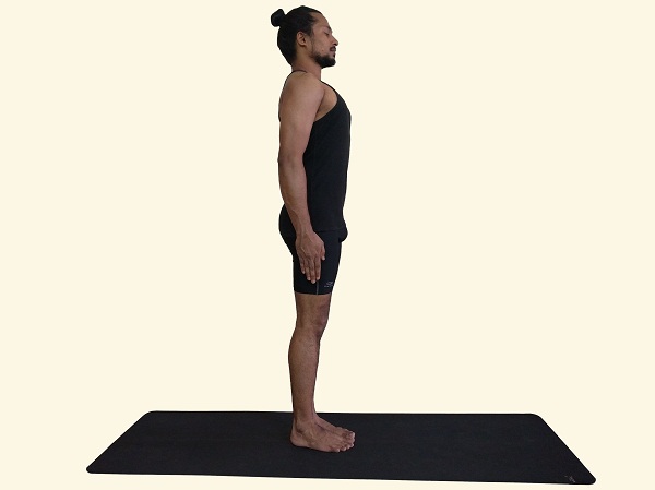 Samasthiti-Equal-Standing-Posture-Tadasana-mountain-Posture