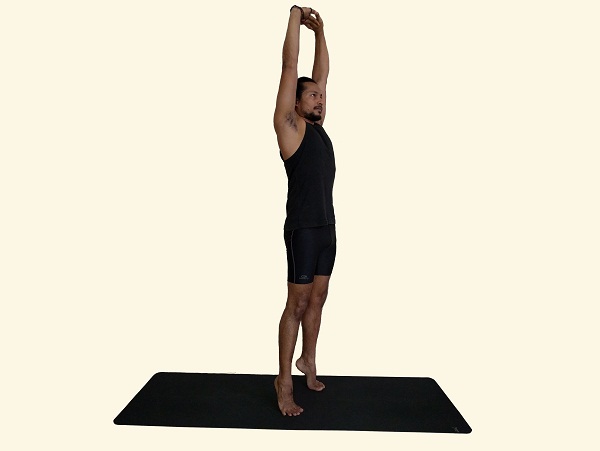 Young Woman Doing A Low Lunge Yoga Pose While Working Out In A High Key Gym  With Potted Palm Tree In A Side View In A Health And Fitness Concept Stock  Photo,