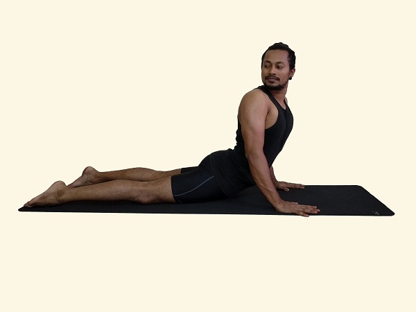 Cobra Pose Yoga Workout Bhujangasana Man: Vector có sẵn (miễn phí bản  quyền) 1981463123 | Shutterstock