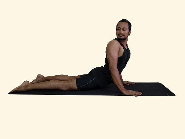 Striking Cobra (Shashank Bhujangasana) – Yoga Poses Guide by WorkoutLabs