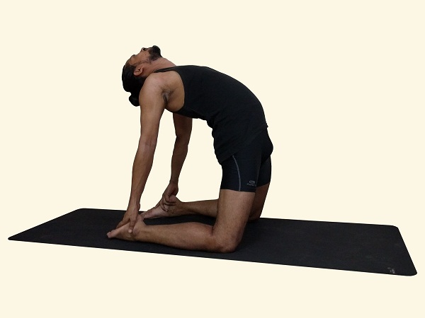 Ushtrasana-Camel-posture-ustrasana