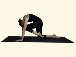 Vyaghrasana- The tiger posture | Prana Yoga