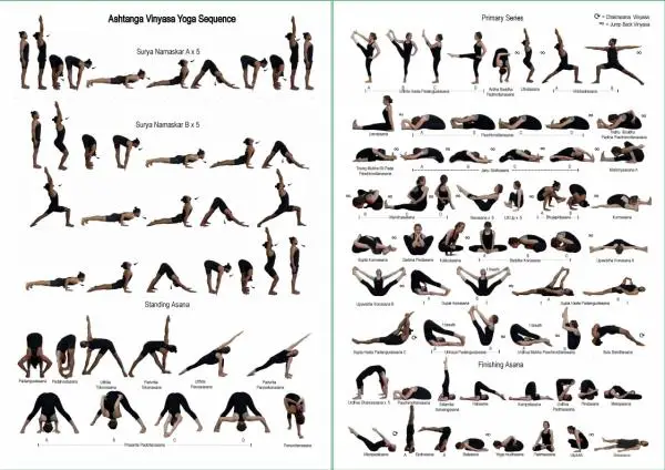 Yoga Poses Poster Printable Yoga Poster Yoga Room Decor Ashtanga Primary  Series, Ashtanga Yoga Primary Series, Ashtanga Vinyasa Yoga | lupon.gov.ph