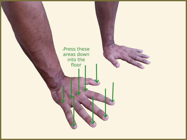hands proper alignment and engagement for yoga postures