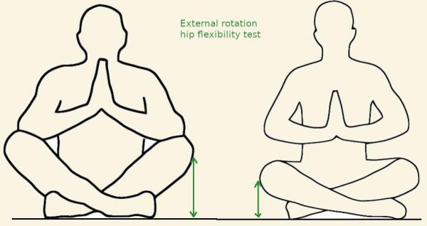 Hip mobility, external rotation test