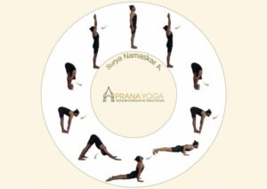 surya namaskar a, sun salutation a, ashtanga vinyasa yoga