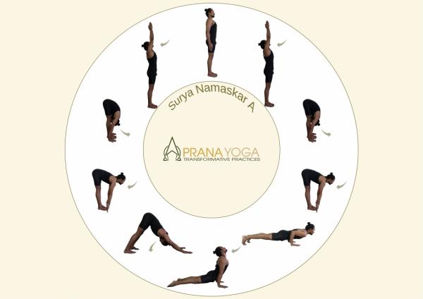 How long should we hold each pose in Surya Namaskar  Quora