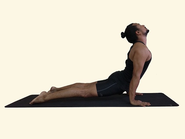 urdhva-mukha-svanasana-upwards-facing dog